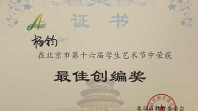 我校教师在艺术节中荣获多项荣誉奖项