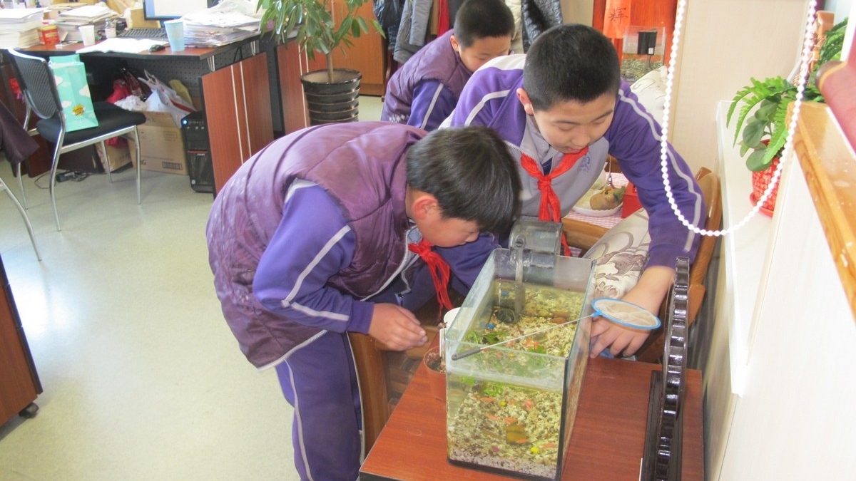雷锋精神在我心，志愿服务在我行