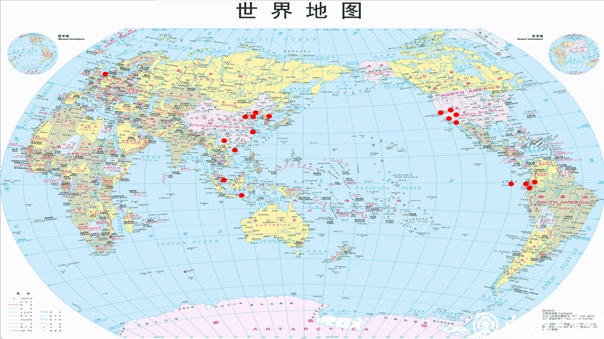 学生自创课程——清华附小水木秀场名生讲堂第五期：一个满世界找虫的“怪”学生