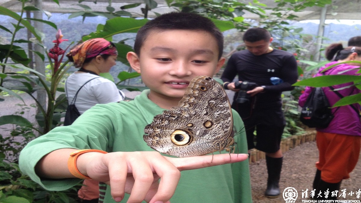 学生自创课程——清华附小水木秀场名生讲堂第五期：一个满世界找虫的“怪”学生