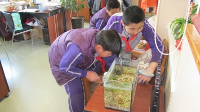 雷锋精神在我心,志愿服务在我行