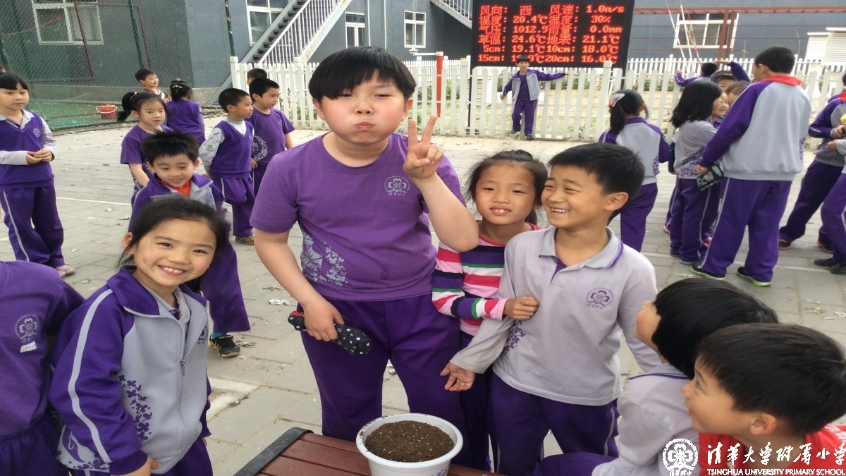 播种希望