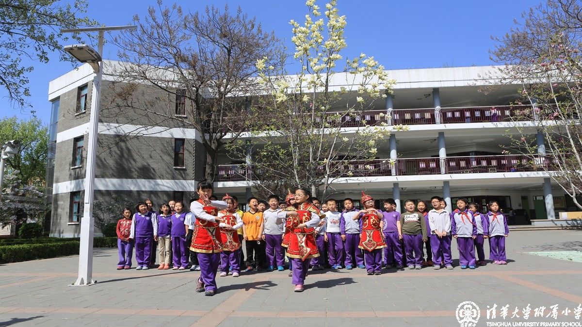 学生自创课程——清华附小水木秀场：玉兰花语