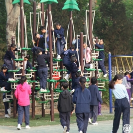 香港学生在清华附小