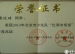 我校龚近琦、熊沁语同学被评为2013年北京市少先队“红领巾奖章”