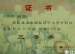 我校多名同学获得海淀区中小学科技竞赛之科学幻想画比赛优异成绩
