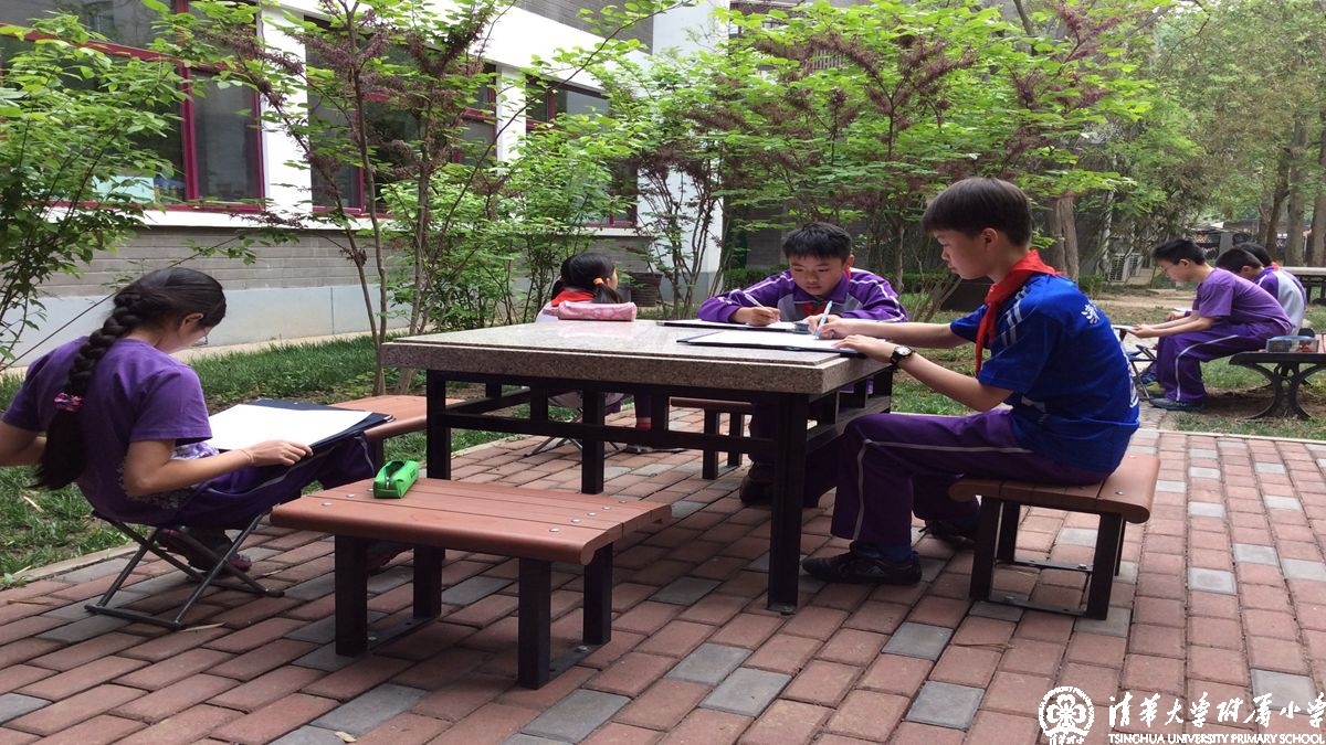 主题课程之寻找校园的春天