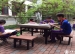 主题课程之寻找校园的春天