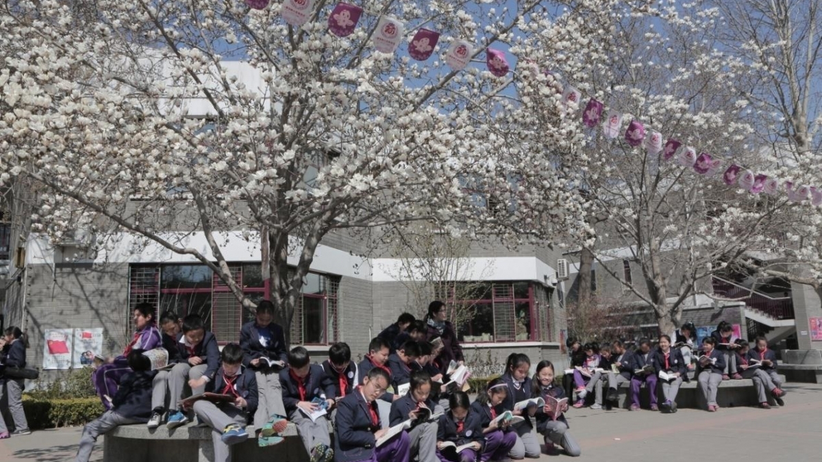 百年百书公益行,书香飘进太阳村——五（6）班的公益故事