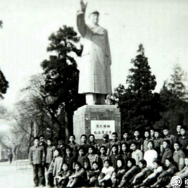 白杨树下的记忆----罗青（罗春霞）（清华附小1975届二班毕业生）