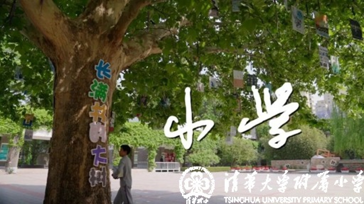 成志教育：用纪录片《小学》致敬母校110周年